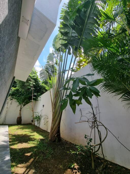 Villa Fleur De Coco - 8P. - Piscine Privee - Haut Standing سانت بيير المظهر الخارجي الصورة