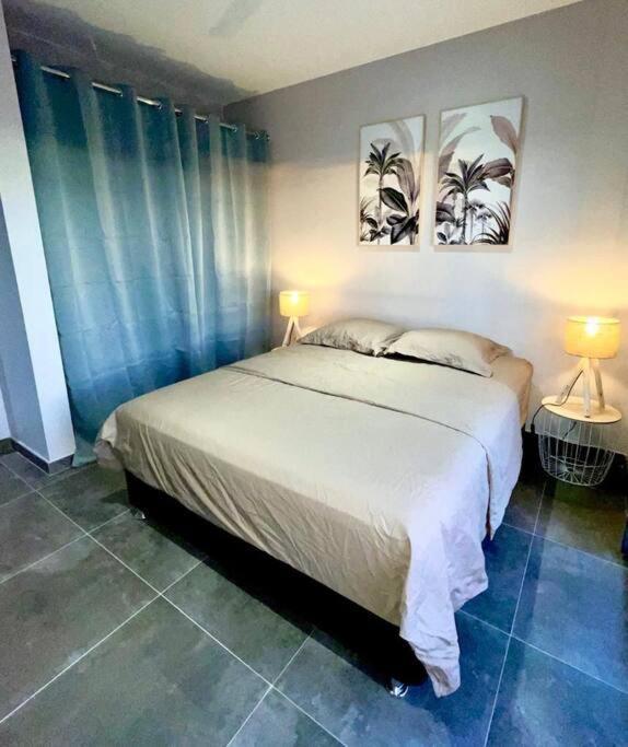 Villa Fleur De Coco - 8P. - Piscine Privee - Haut Standing سانت بيير المظهر الخارجي الصورة